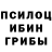 Псилоцибиновые грибы Psilocybe Dzhemil' Amedov