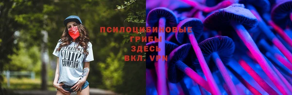 стаф Майский